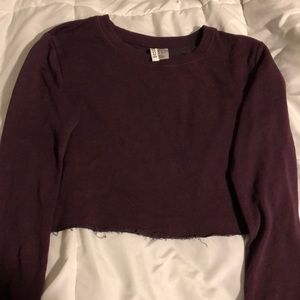 H&M maroon crop top